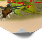  1861 Hummingbird Print Flowers (Hoek)