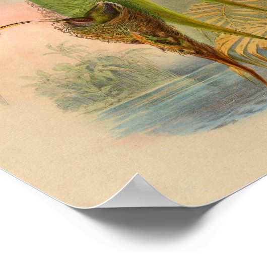  1861 Hummingbird Print Nest Trees (Hoek)