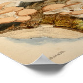  1863 Bruin-witte-stamhoutpaddenstoelen Kunst afdr Poster (Hoek)