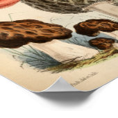  1863 Bruine Rode paddenstoelen Kunst afdrukken Poster (Hoek)