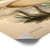  1863 Common White Mushrooms Art afdrukken Poster (Hoek)