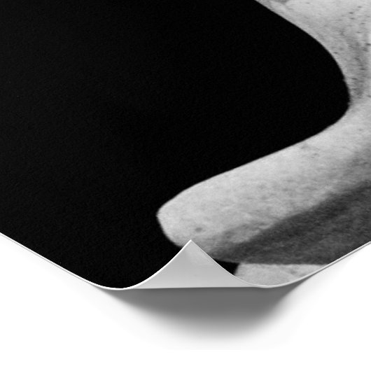 1863 GETTYSBURG ADRES POSTER (Hoek)