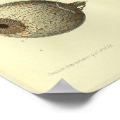 1866 Anatomie van het menselijk oog afdrukken Poster (Hoek)