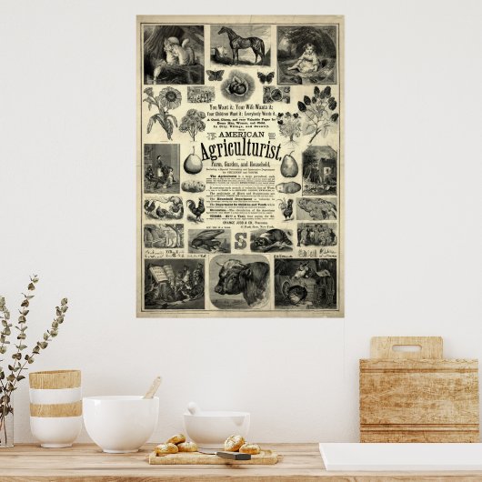  1866 De Amerikaanse landbouwkundige Poster (Keuken)