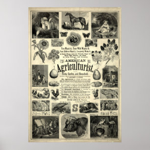  1866 De Amerikaanse landbouwkundige Poster