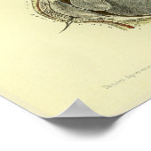 1866 Humaan oog Cornea Anatomy Print (Hoek)