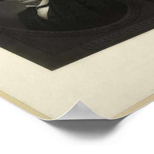 1867 afbeelding van Thaddeus Stevens Poster (Hoek)