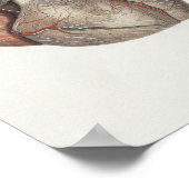 1867 Anatomy Print voor het menselijk hart  (Hoek)