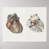 1867 Anatomy Print voor het menselijk hart  (Voorkant)