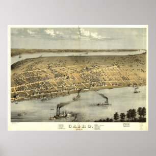 1867 Caïro, IL Vogelmoes Eye Uitzicht Panorama Poster
