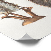 1867 Cervicale wervelkolom  anatomie afdrukken Poster (Hoek)