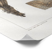 1867 Foot Ankle Botten Anatomy Print (Hoek)