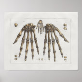 1867 Hand Wrist Botten  Anatomy Print (Voorkant)