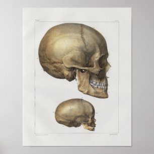 1867 Humaan Anatomie Afdrukken Poster
