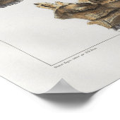 1867 Humaan  Anatomie Afdrukken Poster (Hoek)