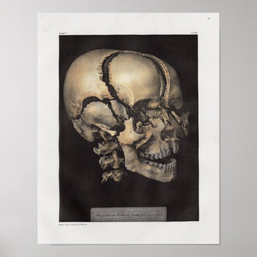 1867 Humaan  Anatomie Afdrukken Poster (Voorkant)