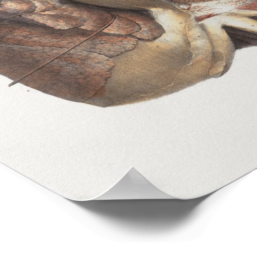 1867 Lungs Hart  anatomie Afdrukken Poster (Hoek)