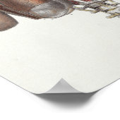 1867 Lungs ruggengraat  anatomie afdrukken Poster (Hoek)