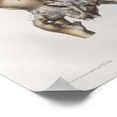 1867 Pelvic Botten  Anatomie Afdrukken Poster (Hoek)