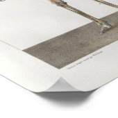 1867 Skelet Botten  Anatomie Medical Print (Hoek)