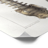 1867 Spinale kolom Botten  anatomie Afdrukken Poster (Hoek)