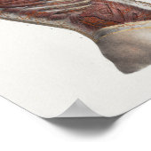 1867 Torsospieren  Anatomie Afdrukken Poster (Hoek)