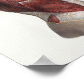 1867 Torsospieren  Anatomie Afdrukken Poster (Hoek)