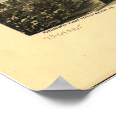 1870 Saint Peter, MN Birds Eye Uitzicht Panoramic  Poster (Hoek)
