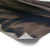 1873 ROCKWOOD WILD BILL HICKOK PORTRAIT POSTER (Hoek)