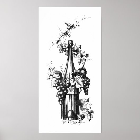 1873  wijnfles met druiven en bladeren poster (Voorkant)