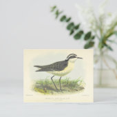  1875 vogeltrek uit Sint-Helena Briefkaart (Staand voorkant)