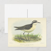  1875 vogeltrek uit Sint-Helena Briefkaart (Voorkant / Achterkant)