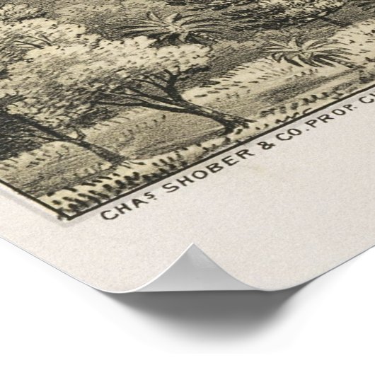 1876 McKinney, TX Bird's Eye Uitzicht Panoramic Ma Poster (Hoek)