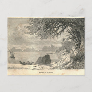 1877 Afdrukken Rio de Janeiro De Aarde en zijn Men Briefkaart