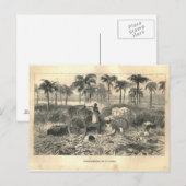 1877 Druk Cuba Antilles, Earth and its Peoples af Briefkaart (Voorkant / Achterkant)