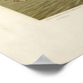 1878 Newport, RI Birds Eye Uitzicht Panoramic Map Poster (Hoek)