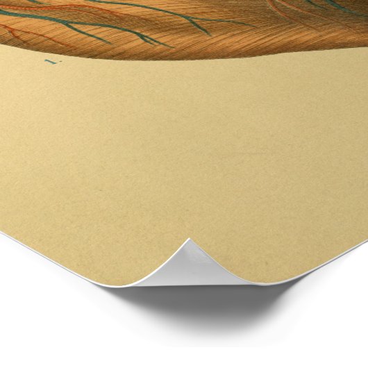 1879  anatomie Afdrukken Menselijk hart Poster (Hoek)