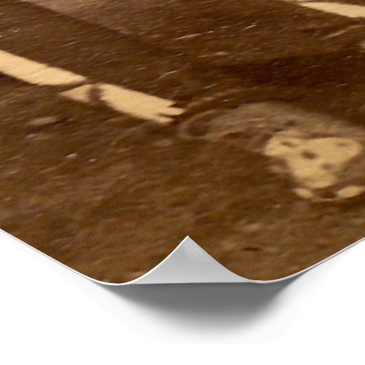 1879 Crow Indian Chiefs Fargo Dakota Territory Poster (Hoek)