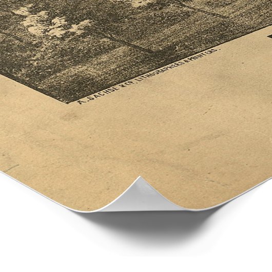 1880 Baltimore, MD Bird's Eye Uitzicht Panoramic M Poster (Hoek)