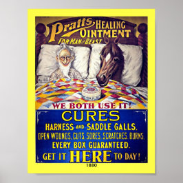 1880 Horse Liniment: Paardenzalf Poster