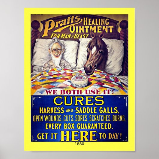  1880 Horse Liniment: Paardenzalf Poster (Voorkant)