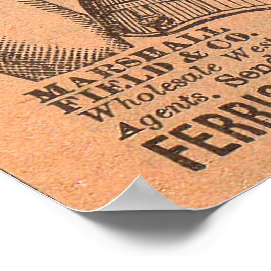 1880s Ferris Common Sense Corsets en Poster (Hoek)