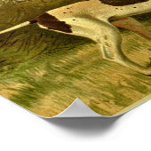 1881 aanwijsdog afdrukken poster (Hoek)