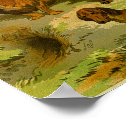 1881  afdrukken poster (Hoek)