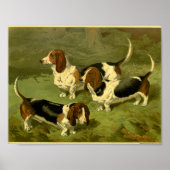 1881  Basset Hounds Print (Voorkant)