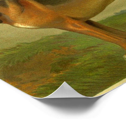 1881 Bloodhondafdrukken Poster (Hoek)