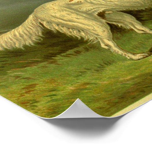 1881  Engelse Setter Print (Hoek)