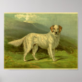 1881  Engelse Setter Print (Voorkant)