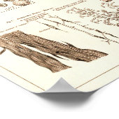  1881 Kikkerbiologie Anatomie Print (Hoek)