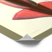 1881  kleureninktkunst afdrukken poster (Hoek)